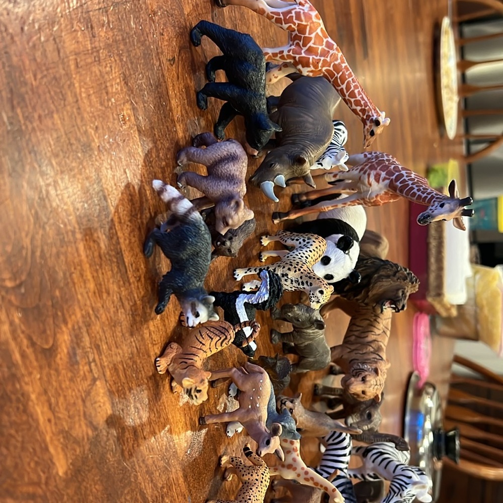 play animals - Picture 2 of 6